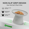 Necoichi 2pcs Extra-Wide Elevated Cat Food Bowls – BPA-Free Plastic Raised Bowls to Reduce Whisker & Neck Fatigue – Dishwasher Safe – Non-Slip, Anti-Vomiting Ergonomic Design(Classic)
