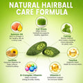 Cat Grass Treats, Hairball Treatment for Cats, for Indoor Cats, 500 Chews
