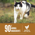 ORIJEN Grain Free WHOLEPREY Dry Cat Food Original Recipe 7lb Bag