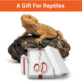 Bearded Dragon Nail Clippers, Stainless Steel Pet Nail Clippers, Reptile Nail Clippers Grooming Tool for Bearded Dragons