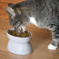 Kitty City Elevated Cat Bowls (Set of 2), Whisker-Friendly Raised Cat Food & Water Dishes, Modern Pedestal Design, Dishw