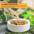 Eiito Reptile Food Bowl,Hermit Crab Lizard Gecko Ceramic Food Dish, 7 Compartments Anti-Turning Bearded Dragon Food & Wa