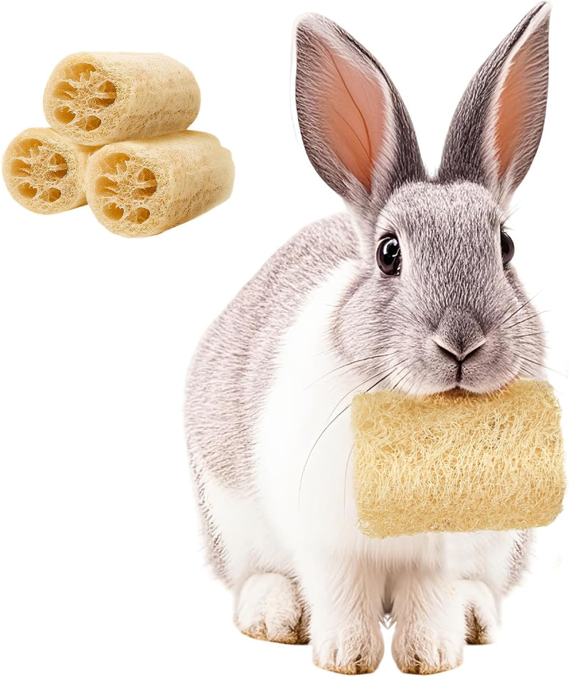 BESNEW 3 PCS Rabbit Chew Toys,100% Natural Loofah Without Additives,Bunny Chew Toys for Teeth,Fiber-Rich Rabbit Treats f