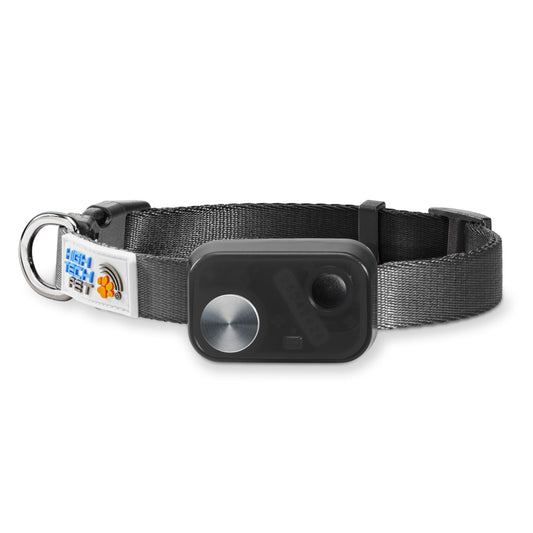 Genuine MS-5® Econ Series Automatic Pet Door Collar. Value Priced Dependable Performance. Tested, Certified, Complies with Power Pet Door Performance Warranty, Waterproof, USA Customer Support