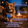 QUELIEN Dog Collar Light, Clip On LED Dog Light for Night Walking, High Visibility Light Up Dog Collar Accessory with 2 