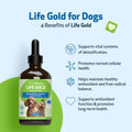 Pet Wellbeing More Mushrooms Value Size for Dogs - Immune System Support