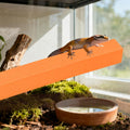 2-Pack Adjustable Reptile Climbing Branches – Compressed Foam Strips for Tree Frogs, Geckos & Small Arboreal Pets | Natu