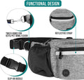 PetAmi Dog Fanny Pack, Treat Pouch for Dog Walking Training, Light Gray
