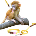 Mini Monkey Leash Adjustable Strap Belly Bands Marmoset Walking