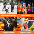 Vivifying 2 Pack Halloween Dog Bandanas, Spooky and Pumpkins Pattern