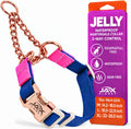 Jelly No Pull No Slip Waterproof Martingale Collar for Dogs, Blue Rose
