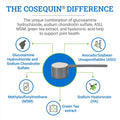 Nutramax Cosequin ASU Plus Joint Supplement for Horses, Powder, 1050g
