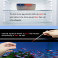 Brine Shrimp Egg Dispense Storage Kit with 50 Egg Collection Bottles, Holder, 3 Aquarium Feeders, 2 Automatic Feeding Bo