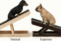AlphaPaw - Original Natural Wood PawRamp for Small & Large Dogs - No Assembly Required - Adjustable Height Pet Ramp for 
