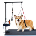 SHELANDY Pet Grooming arm with clamp for Large and Small Dogs - 35 inch Height Adjustable and Free Two No Sit Haunch Holder,Black