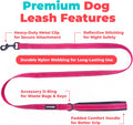 Best Pet Supplies Voyager Reflective Dog Leash or Collar with Neoprene Handle, for Small, Medium, and Large Breed Puppies, Cute and Heavy Duty for Walking, Running and Training - Fuchsia (Leash), S