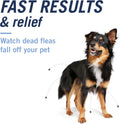 PetArmor Plus XL Dog 6ct (89–132 lbs) + PetArmor CapAction Large Dog 6ct (25+) Treat and Prevent Bundle – Fast Acting an