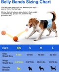 Dog Diapers Male Disposable, Belly Bands for Male Dogs XS 52pcs