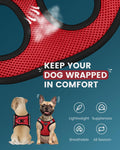 FAYOGOO Service Dog Vest for Small Dogs - Lightweight Dog Harness with 6PCS Removable Patches - Puppy Harness and Leash Set for Walking,Training