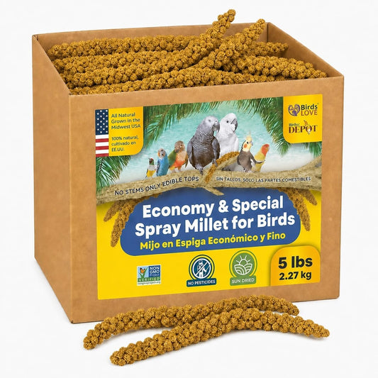 5lbs Economy & Special Spray Millet for Birds – GMO-Free, No Stems (Only Edible Tops) – 100% Natural Sun-Dried Foraging Treat for Cockatiels, Lovebirds, Parakeets, Finches & Canaries