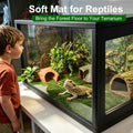 Reptile Carpet Terrarium Liner Bedding Substrate Floor Mat,15.7"x11.8"