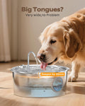 Dog Water Fountain for Large Dogs: Stainless Steel Dog Fountain Water Bowl