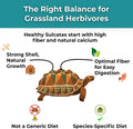 Sulcata Tortoise Calcium & Multivitamin Powder - Herpetologist Formulated Vitamin and Mineral Powder for Reptiles with H
