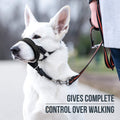 GoodBoy Dog Head Halter with Safety Strap - Stops Heavy Pulling On The Leash - Padded Headcollar for Small Medium and La