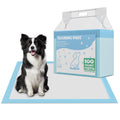 DUMOS 100 Count Puppy Pads for Dogs, 22" x 22" Potty Puppy Training Pad, 6-Layer Dog Cat Pee Pads, Super Absorbency Disposable Pet Leakproof Quick Drying Pad
