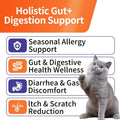 HEYISME Cat Probiotic, Chews for Gut and Immune Health, Cats Probiotic Supplement for Cat Digestive Support, Healthy Digestion, Cat Constipation and Diarrhea Relief (120 Pills, Salmon)
