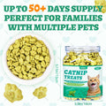 Wellix 13.05 oz Catnip Treats for Cats for Digestive Support