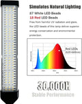 KINGYEENUO Full-Spectrum Bird Light Lamp, 10W Clip Light U-V Free 105 LED Beads, 10 Dimming Levels & 24H Timer, Safe for