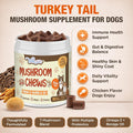 Turkey Tail Mushroom for Dogs & Cats, Immune & Gut Mushroom Chews for Dogs