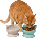 Kitty City Elevated Cat Bowls (Set of 2), Whisker-Friendly Raised Cat Food & Water Dishes, Modern Pedestal Design, Dishw