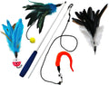 Wand + 3 Feathers & Worm