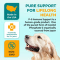 1-TDC WorksSoWell IP-6 Immune Support for Dogs – 240 V-Caps – Helps Promote Healthy Bones, Teeth, Kidney, Liver Function