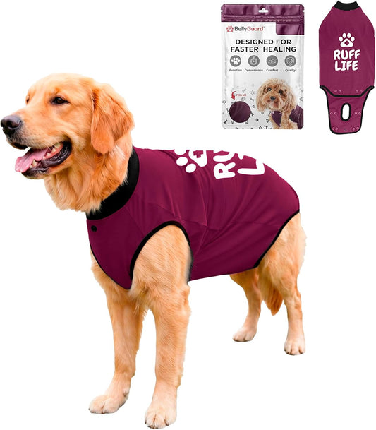 BellyGuard Dog Surgery Recovery Suit, Male Female After Spay Neuter Onesie