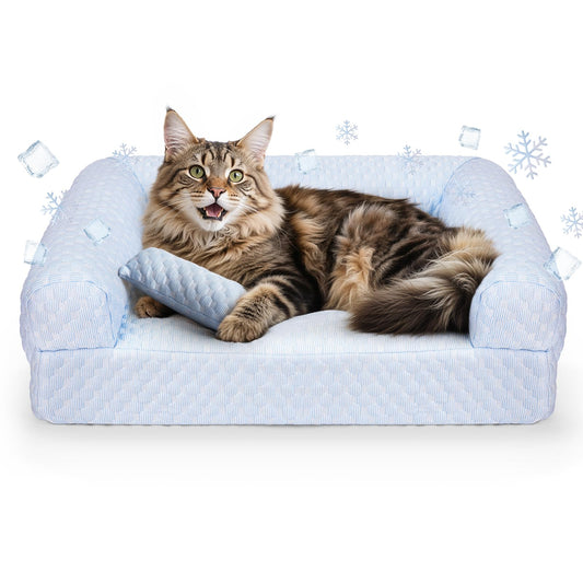 Foamio Cat Bed, Cat Beds for Indoor Cats, Summer Cooling Pet Sofa Bed, Washable Medium Pet Bed for Puppy and Small to Large Kitten with Anti-Slip Bottom, Fits Up to 65lbs Pets