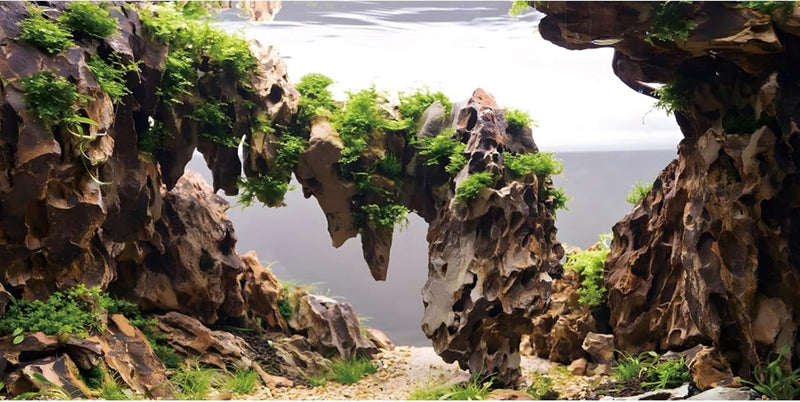 48x24 in Viewing Stone Aquarium Backdrop Riverbed Fish Tank Background
