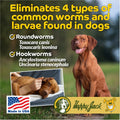 Happy Jack Liqui-Vict 2X Liquid Dog Dewormer for Large, Medium & Small Breeds (2 oz), Wormer Removes Roundworms & Hookworms, for Puppies to Seniors to Lactating Moms