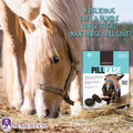 Majesty's PillEase Horse Treats | A Delicious Soft and Pliable No Bake Cookie Horse Treat | Makes Giving Pills & Medicat