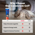 3 Pack Bovine Colostrum Nutrical Gel for Dogs & Cats,Support Appetite