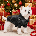 Lovelonglong Cool Dog Leather Jacket, Warm Coats Dogs Windproof Cold Weather Coats for Large Medium Small Dogs, Boston T