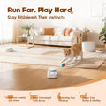 Interactive Cat Toy for Indoor Cat,Automatic Treadmill for Exercise