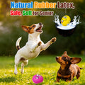 HOLYSTEED Latex Squeaky Dog Toys for Small Dogs, Mini Breed, 2.2" Flat Ball
