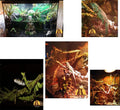 emours Flexible Realistic Jungle Vines Pet Habitat Decor for Lizard,Frogs, Snakes,Chameleons and More Reptiles, 3.6ft Lo