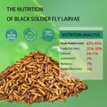 Dried Black Soldier Fly Larvae 10LB Treats for Chicken Wild Birds Ducks
