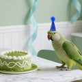 Mini Party Hats for Animal Figures 1" Tiny Fingers Hats for Little Resin Toys 10 Pcs Figurines Hat with Pom Poms