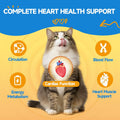 Taurine for Cats - Taurine Supplement for Cats Heart Health, Cardiac Function, Immune System Support - with L-Carnitine, CoQ10, Omega-3, L-Arginine - 60ML, Roast Chicken Flavor