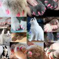 VICTHY 140pcs (14 Colors) Cat Nail Caps, Cat Claw Covers Cat Nail Covers with Adhesives and Applicators (Medium)